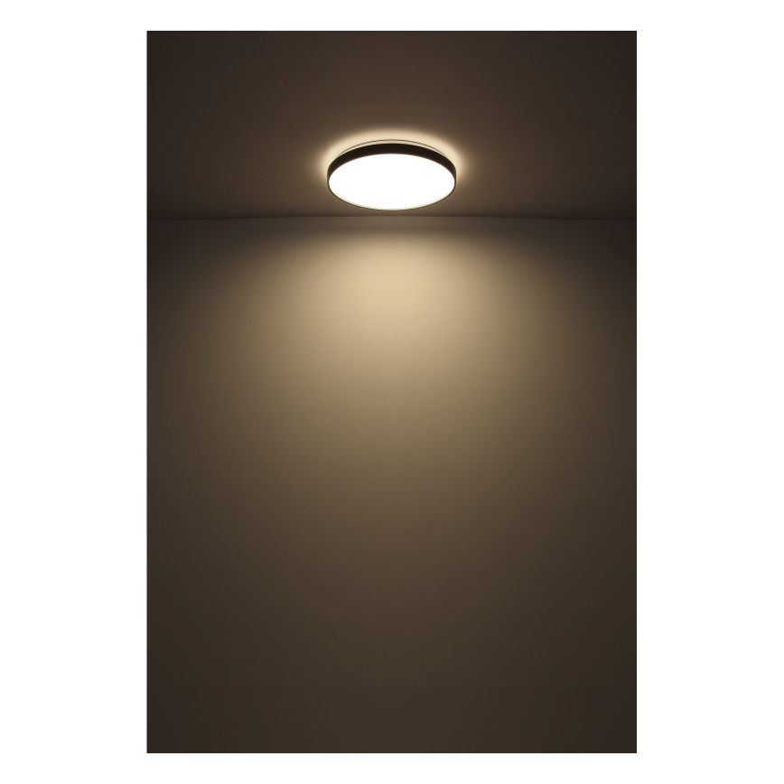 Globo - LED Plafonjera LED/24W/230V