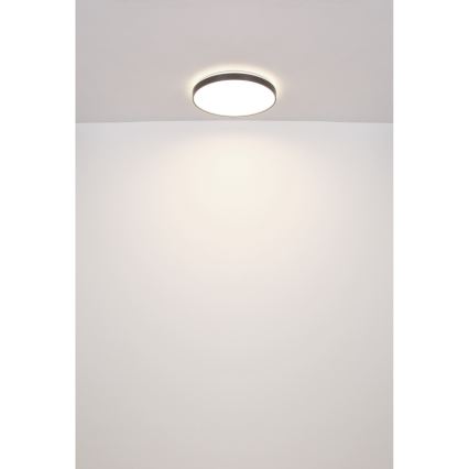 Globo - LED Plafonjera LED/24W/230V