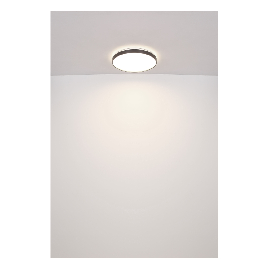 Globo - LED Plafonjera LED/24W/230V