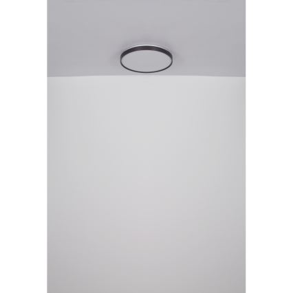 Globo - LED Plafonjera LED/24W/230V