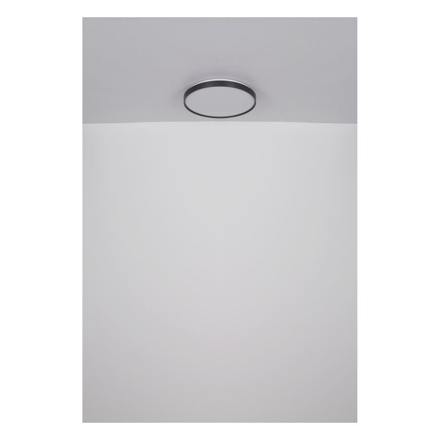 Globo - LED Plafonjera LED/24W/230V