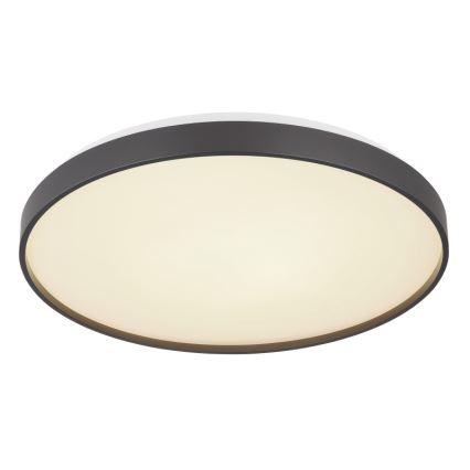 Globo - LED Plafonjera LED/24W/230V