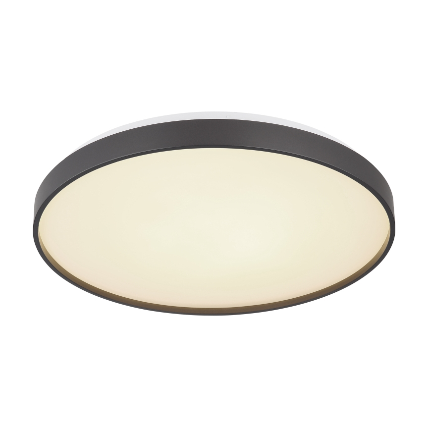 Globo - LED Plafonjera LED/24W/230V