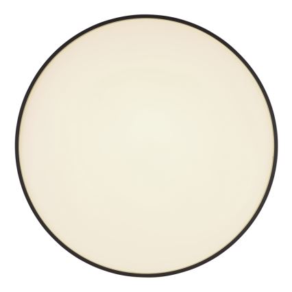 Globo - LED Plafonjera LED/24W/230V