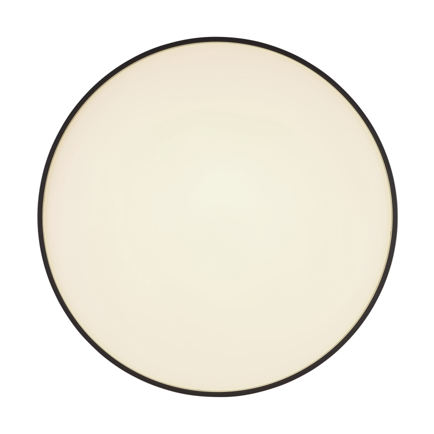 Globo - LED Plafonjera LED/24W/230V