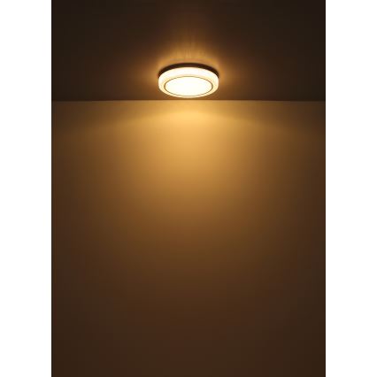 Globo - LED Plafonjera LED/24W/230V pr. 40 cm 3000K bela