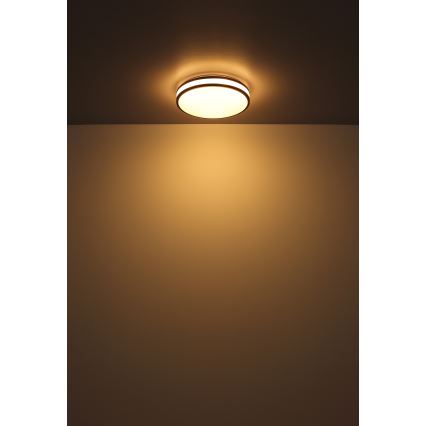 Globo - LED RGBW Prigušiva plafonjera LED/18W/230V 2700-6000K + Daljinski upravljač