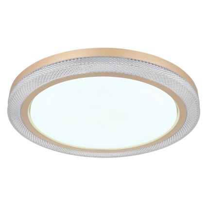 Globo - LED RGBW prigušiva plafonska svetiljka LED/20W/230V 2700-6500K + daljinski upravljač