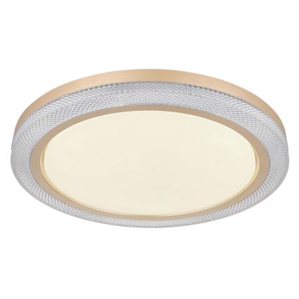 Globo - LED RGBW prigušiva plafonska svetiljka LED/20W/230V 2700-6500K + daljinski upravljač