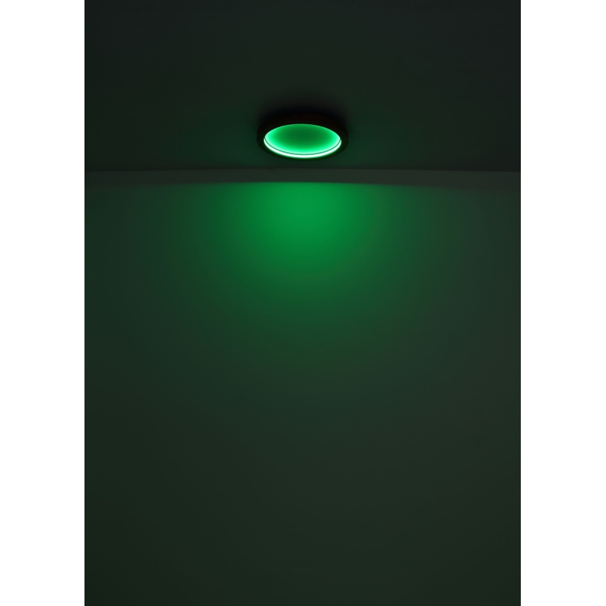 Globo - LED RGBW Prigušiva stropna svjetiljka LED/24W/230V 2700-6000K + daljinski upravljač