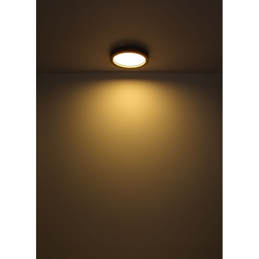 Globo - LED RGBW Prigušiva stropna svjetiljka LED/24W/230V 2700-6000K + daljinski upravljač