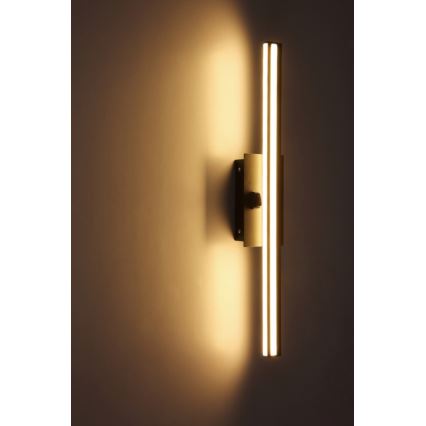 Globo - LED Zidna lampa za kupatilo LED/18W/230V IP44