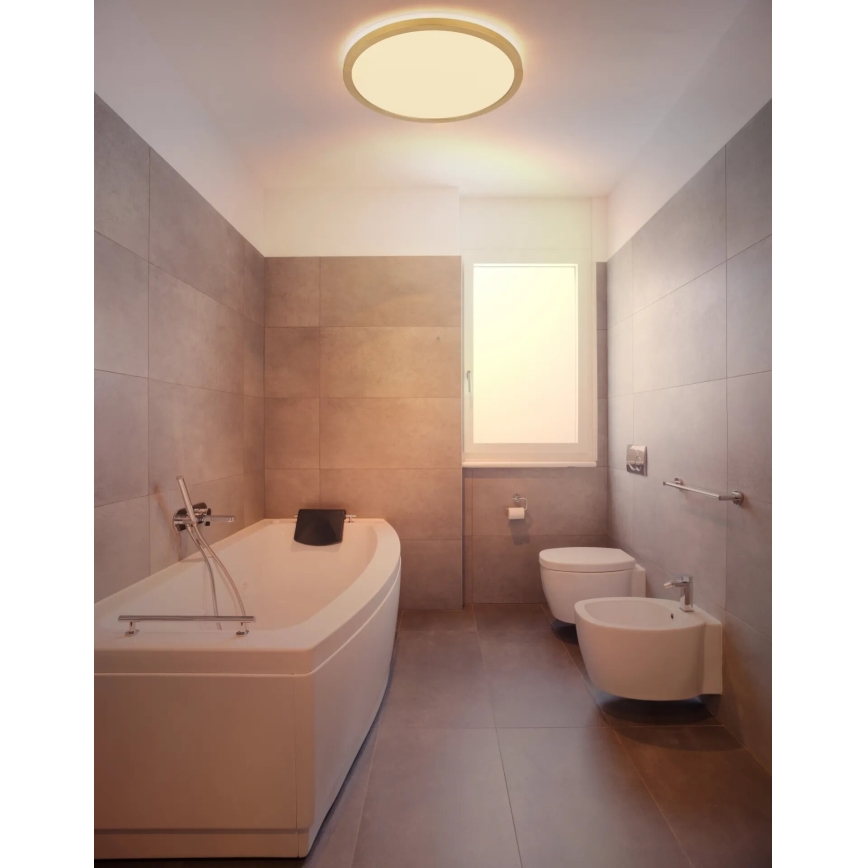 Globo - LED Prigušiva plafonjera za kupatilo LED/24W/230V 3000K IP44 pr. 42 cm mesing