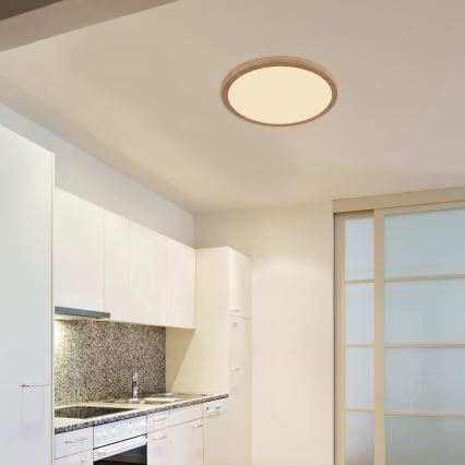 Globo - LED Prigušiva plafonjera za kupatilo LED/24W/230V pr. 42 cm IP44 braon