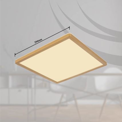 Globo - LED Prigušiva plafonjera za kupatilo LED/18W/230V 3000K IP44 29,4x29,4 cm mesing