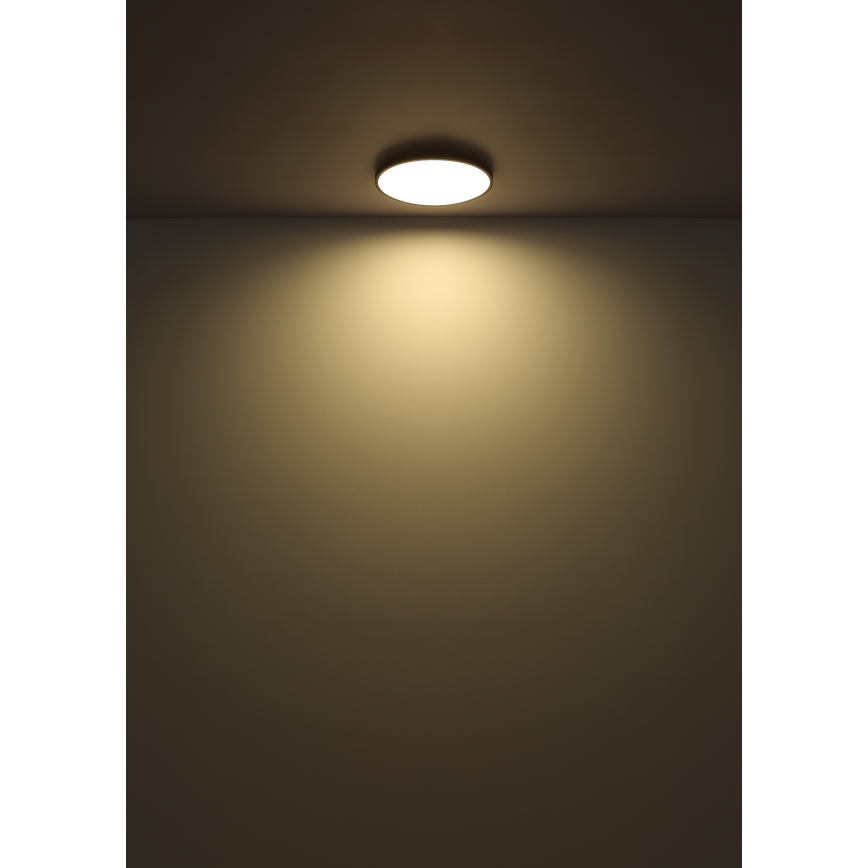 Globo - LED stropno svetlo LED/15W/230V 4000K prečnika 23 cm crna