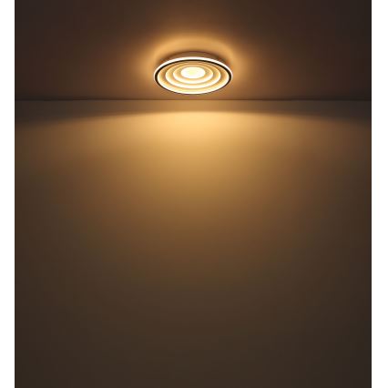 Globo - LED Plafonjera LED/24W/230V