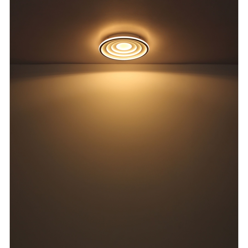 Globo - LED Plafonjera LED/24W/230V
