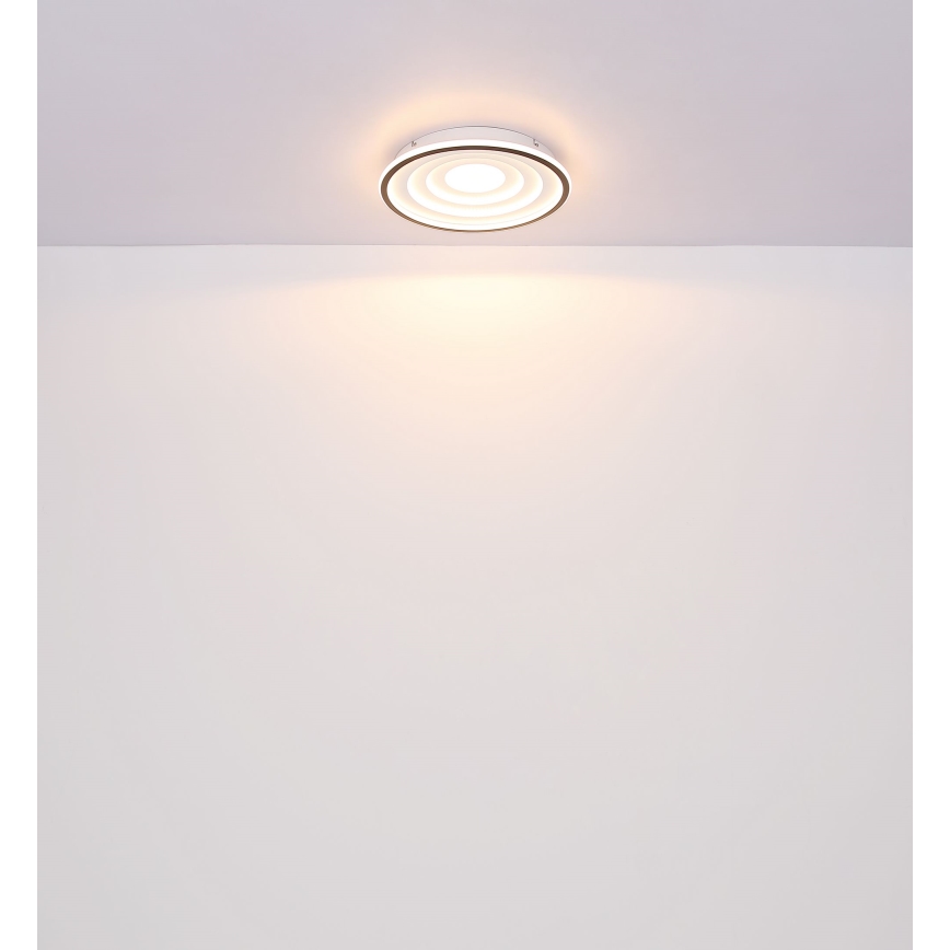 Globo - LED Plafonjera LED/24W/230V