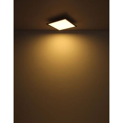 Globo - LED Plafonjera LED/24W/230V