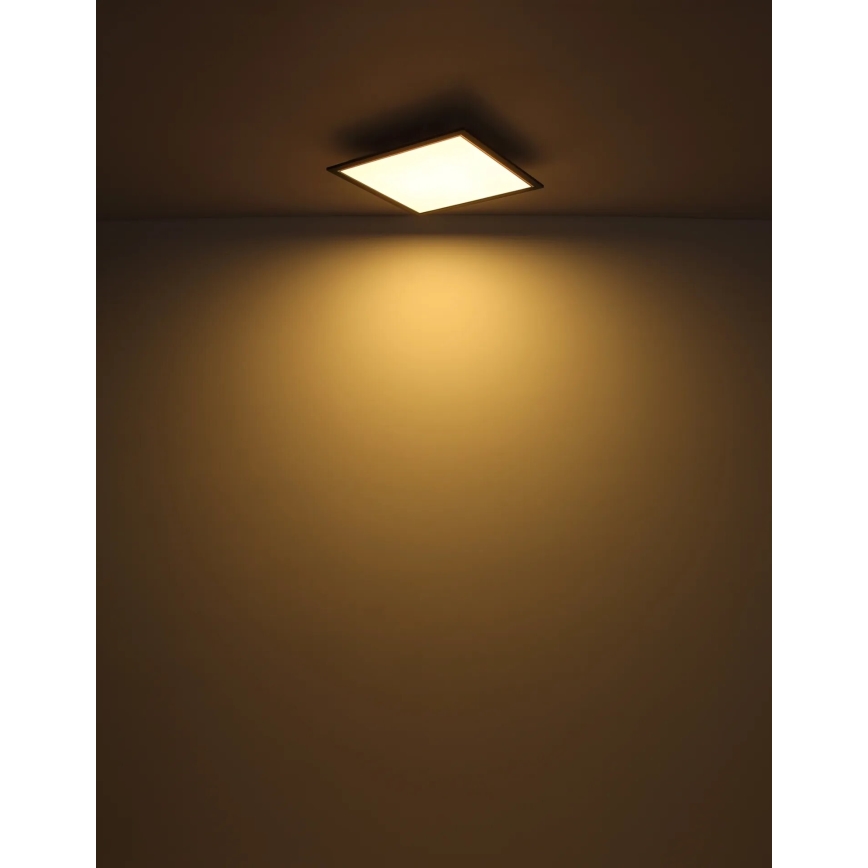 Globo - LED Plafonjera LED/24W/230V