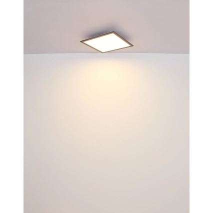 Globo - LED Plafonjera LED/24W/230V