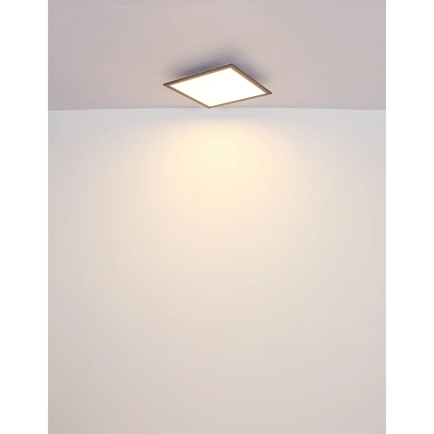 Globo - LED Plafonjera LED/24W/230V