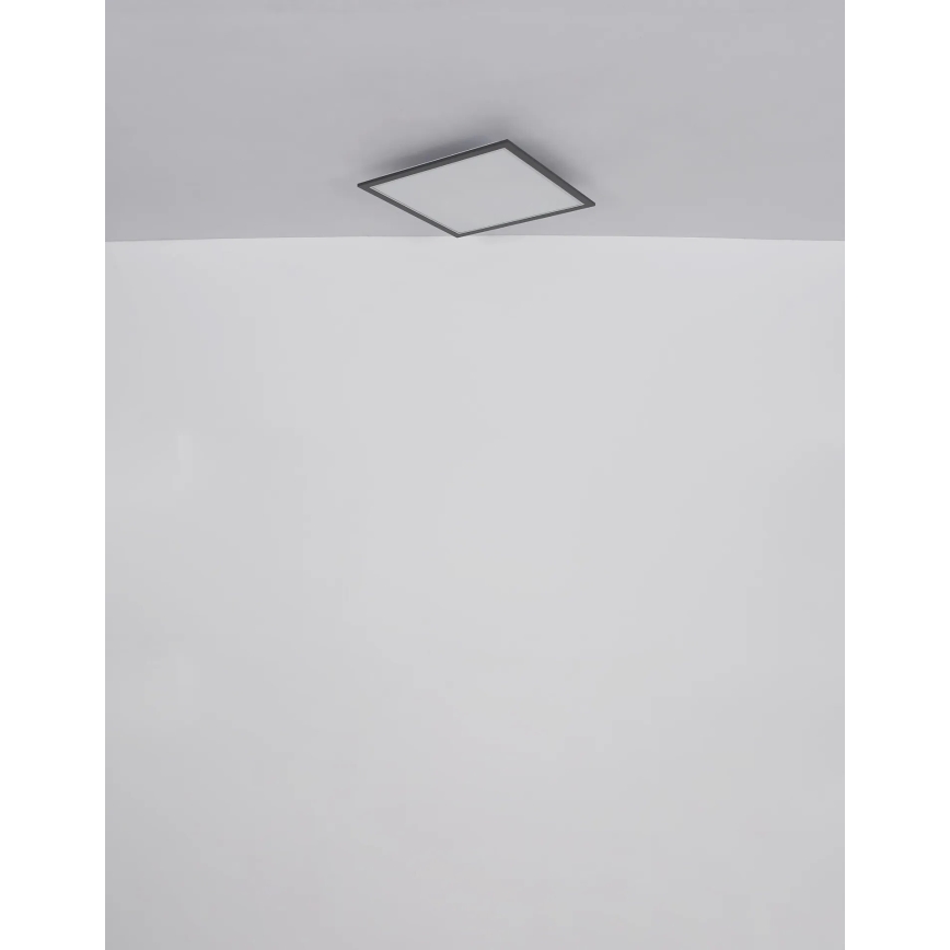 Globo - LED Plafonjera LED/24W/230V