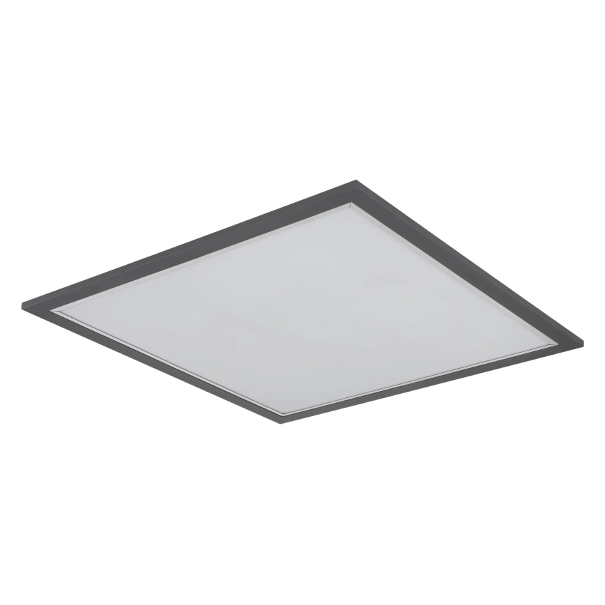 Globo - LED Plafonjera LED/24W/230V