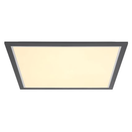 Globo - LED Plafonjera LED/24W/230V