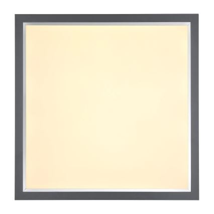 Globo - LED Plafonjera LED/24W/230V