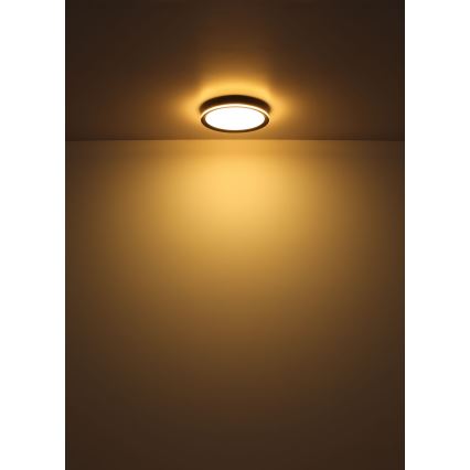 Globo - LED Plafonjera LED/30W/230V pr. 30 cm