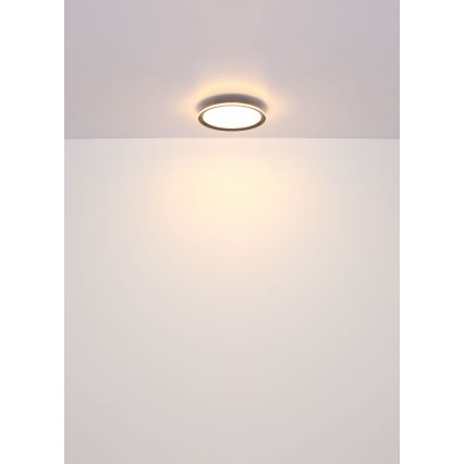 Globo - LED Plafonjera LED/30W/230V pr. 30 cm