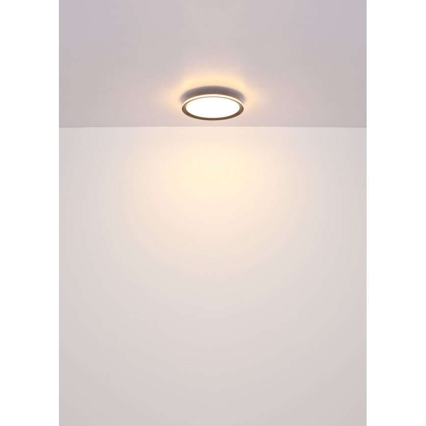 Globo - LED Plafonjera LED/30W/230V pr. 30 cm