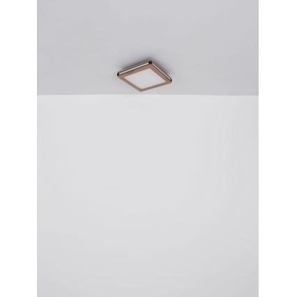 Globo - LED Plafonjera LED/12W/230V 30x30 cm
