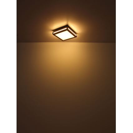 Globo - LED Plafonjera LED/24W/230V 45x45 cm