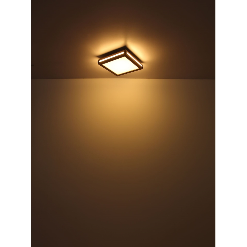 Globo - LED Plafonjera LED/24W/230V 45x45 cm