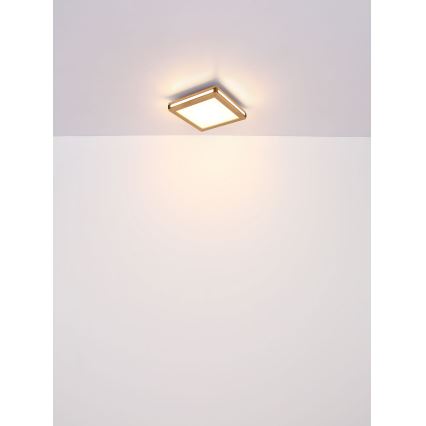 Globo - LED Plafonjera LED/24W/230V 45x45 cm