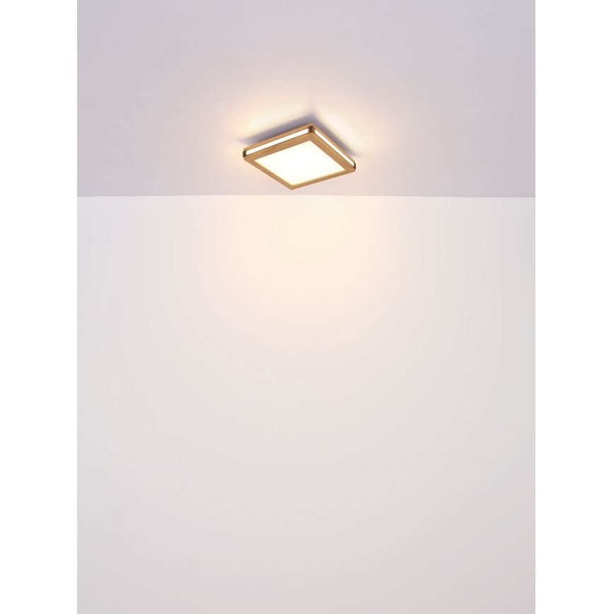 Globo - LED Plafonjera LED/24W/230V 45x45 cm