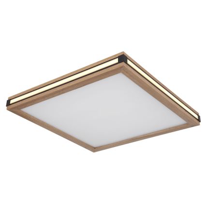 Globo - LED Plafonjera LED/24W/230V 45x45 cm