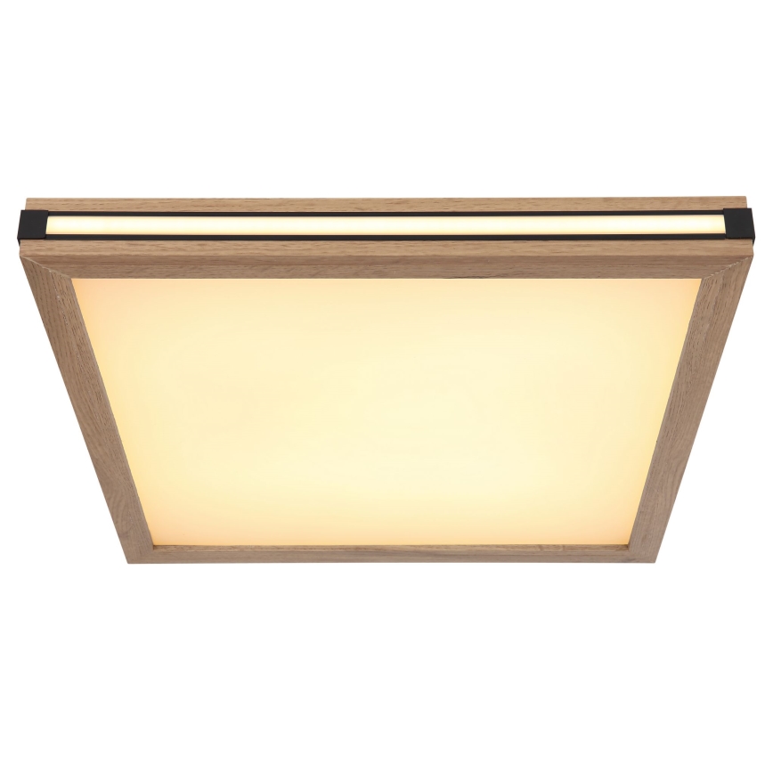 Globo - LED Plafonjera LED/24W/230V 45x45 cm