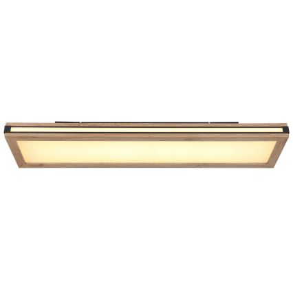 Globo - LED Plafonjera LED/24W/230V 20x80 cm