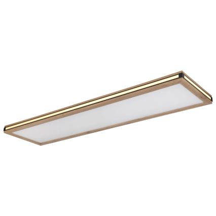 Globo - LED Prigušiva plafonjera LED/36W/230V 3000K 30x120 cm
