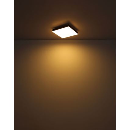 Globo - LED Plafonjera LED/18W/230V 30x30 cm crno