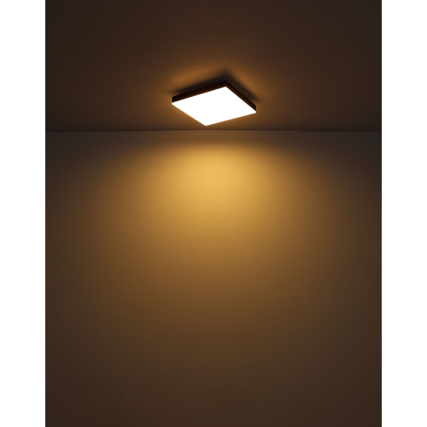 Globo - LED Prigušiva plafonjera LED/24W/230V 2700-6500K crno + Daljinski upravljač