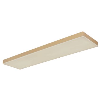 Globo - LED Prigušiva plafonjera LED/24W/230V 2700-6500K zlatna + Daljinski upravljač