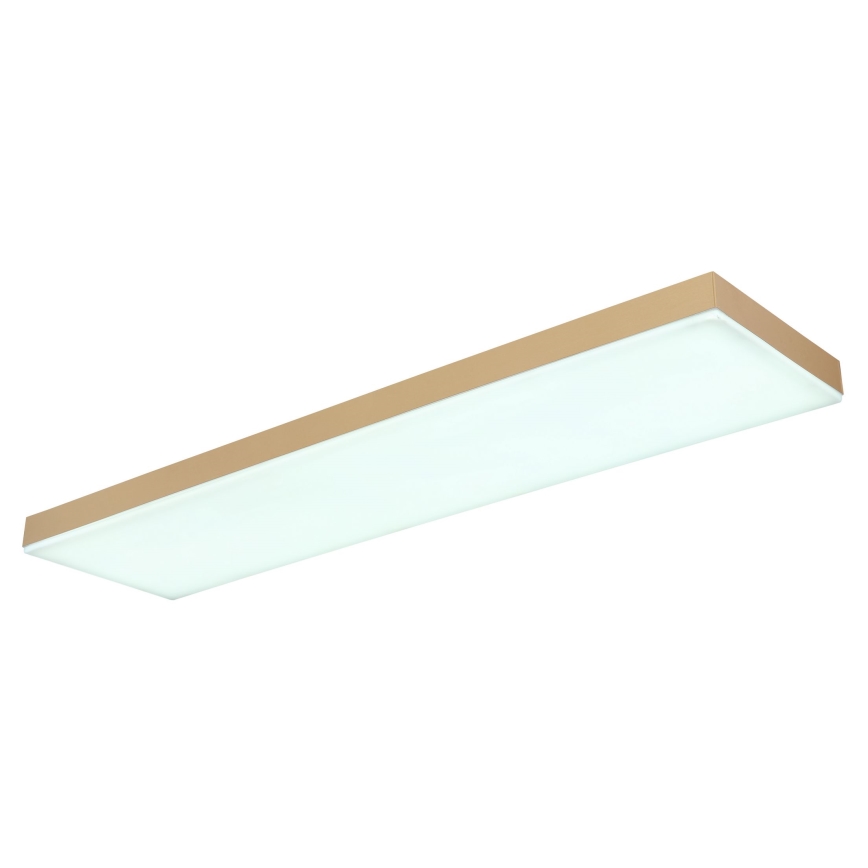 Globo - LED Prigušiva plafonjera LED/24W/230V 2700-6500K zlatna + Daljinski upravljač