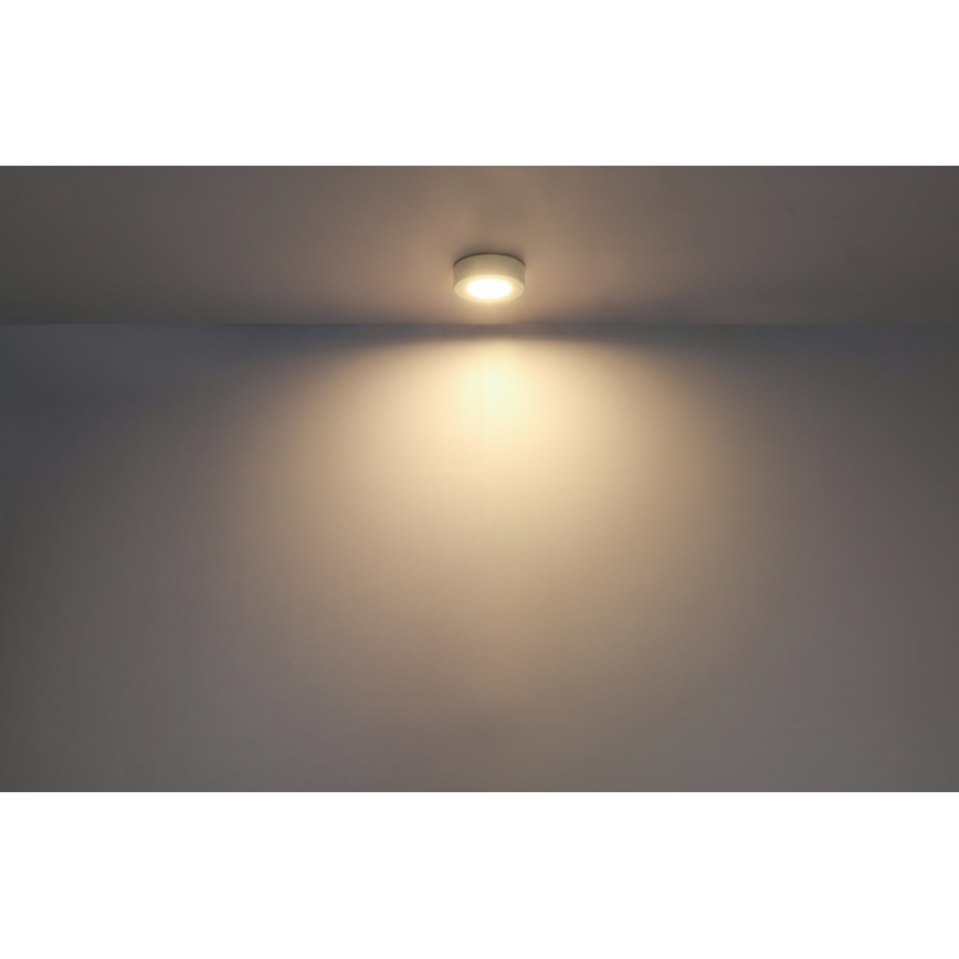 GLOBO - LED Plafonjera LED/6W/230V