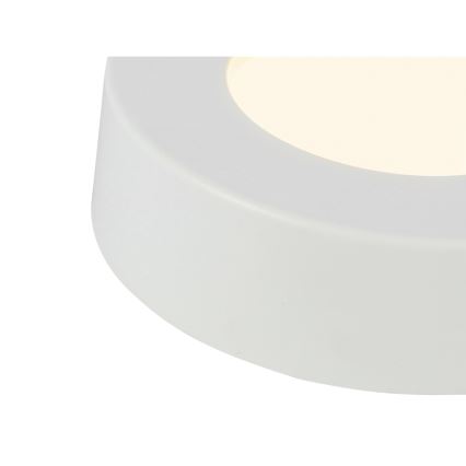 GLOBO - LED Plafonjera LED/6W/230V
