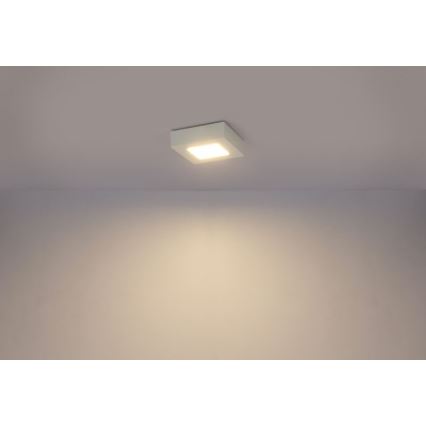 Globo - LED Plafonjera SVENJA 1xLED/9W/230V 3000/4000/6000K